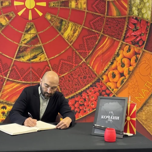 romska-fondacija-za-evropa-500x500