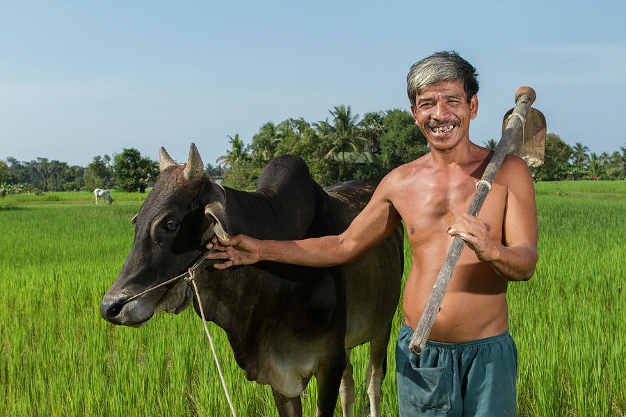 matured-asian-farmer-with-cow-joakimbkk